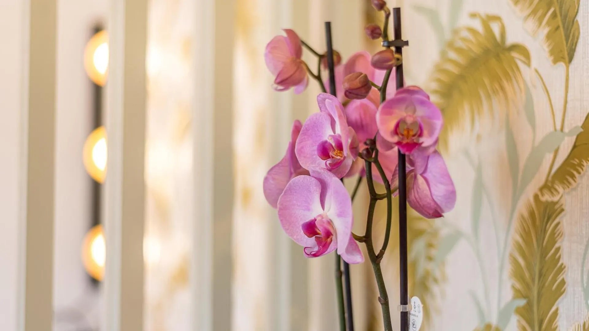 Urban Luxe Studio Torremoilinos Spanien